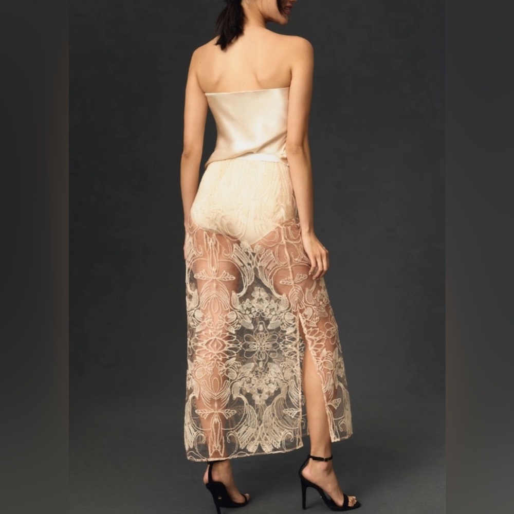 Anthropologie Sheer Embroidered Cream Midi Skirt - Picture 4 of 12